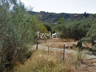 Οικόπεδο 4.100 τ.μ. για πώληση, Αχαΐα, Μεσσατίδα-thumb-5