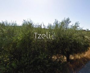 Οικόπεδο 4.100 τ.μ. για πώληση, Αχαΐα, Μεσσατίδα-thumb-6