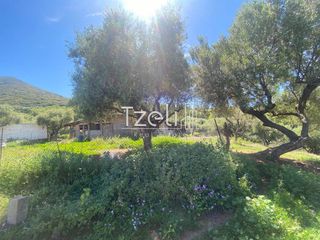 Αγροτεμάχια 4.890 τ.μ. για πώληση, Αχαΐα, Μεσσατίδα-thumb-13
