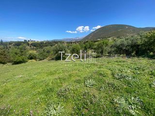 Αγροτεμάχια 4.890 τ.μ. για πώληση, Αχαΐα, Μεσσατίδα-thumb-9