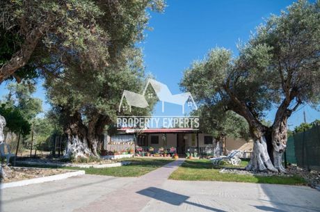 Διαμέρισμα 40 τ.μ. για ενοικίαση