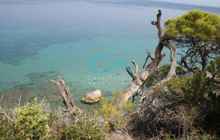 Οικόπεδο 1.680 τ.μ. για πώληση, Εύβοια, Ανθηδώνος-thumb-3
