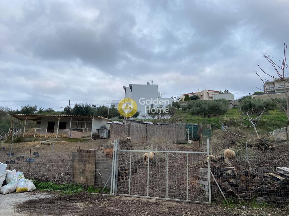 Αγροτεμάχια 770 τ.μ. προς πώληση, Φορτέτσα