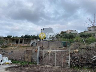 Αγροτεμάχια 770 τ.μ. για πώληση