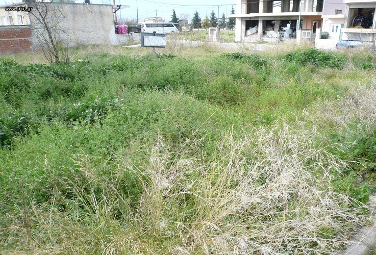 Οικόπεδο 530 τ.μ. πρός πώληση, Φθιώτιδας, Λαμία