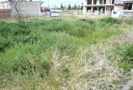 Οικόπεδο 530τ.μ. για πώληση-Λαμία » Κέντρο