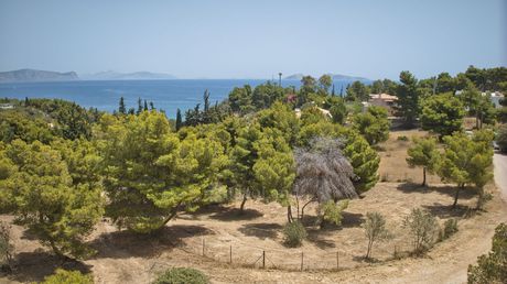 Αγροτεμάχια 1.007τ.μ. για πώληση-Κρανίδι » Άγιος αιμιλιανός