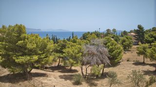 Αγροτεμάχια 1.007 τ.μ. για πώληση, Αργολίδα, Κρανίδι-thumb-12