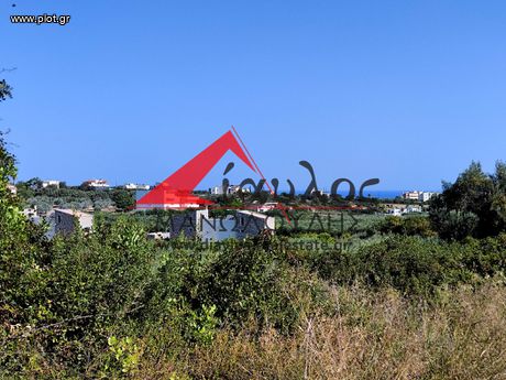 Αγροτεμάχια 5.500τ.μ. για πώληση-Αρκάδι » Πρίνος