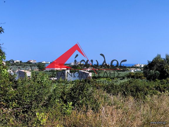 Αγροτεμάχια 5.500 τ.μ. για πώληση, Ν. Ρεθύμνου, Αρκάδι