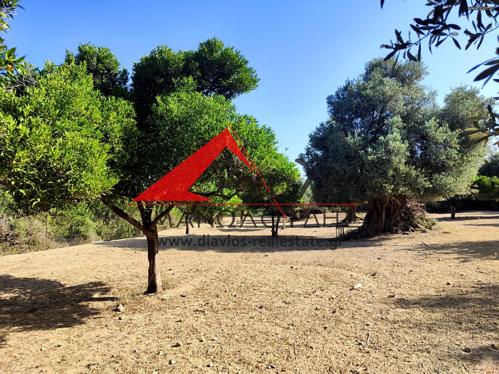 Αγροτεμάχια 5.500 τ.μ. προς πώληση, Πρίνος Αρκαδίου