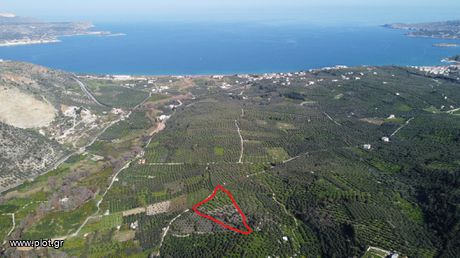 Αγροτεμάχια 10.053 τ.μ. για πώληση