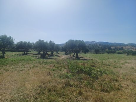 Parcel 4.067sqm for sale-Kefalonia » Paliki