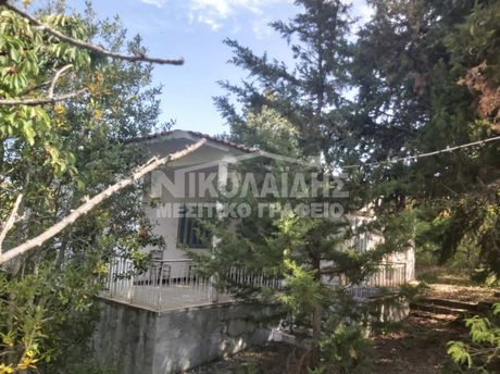 Μονοκατοικία 120τ.μ. για πώληση-Σέρρες » Μονή τιμίου προδρόμου σερρών