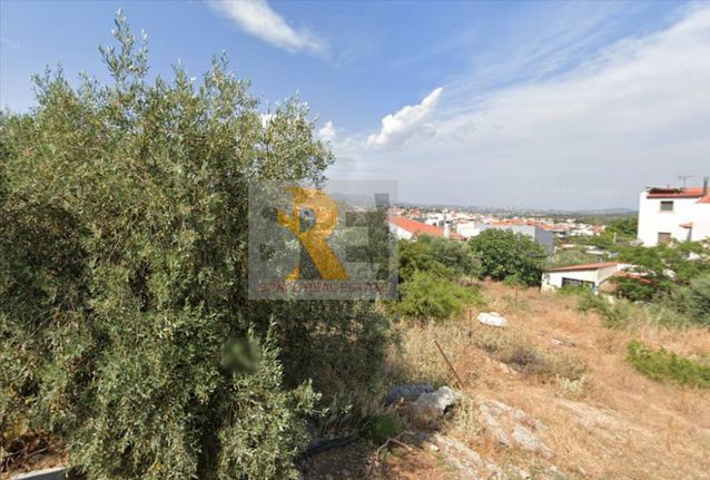 Land plot 592 sqm for sale, Athens - East, Paiania