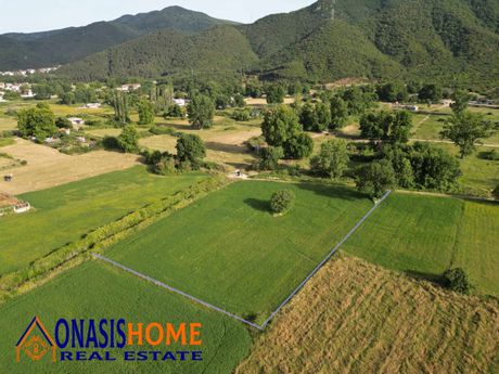 Αγροτεμάχια 6.000τ.μ. για πώληση-Ρεντίνα » Σταυρός