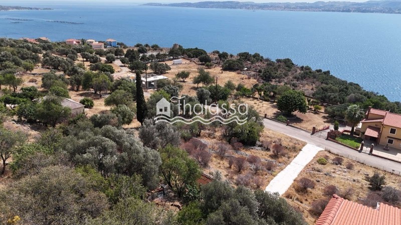 Οικόπεδο 4.168 τ.μ. πρός πώληση, Ν. Κεφαλονιάς, Κεφαλονιά