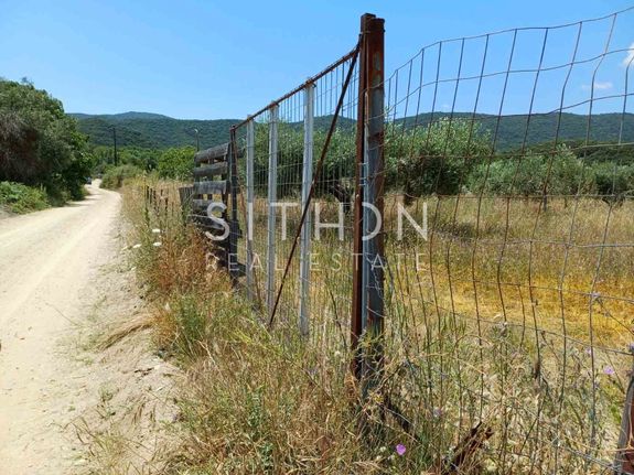 Αγροτεμάχια 5.230 τ.μ. για πώληση, Χαλκιδική, Τορώνη