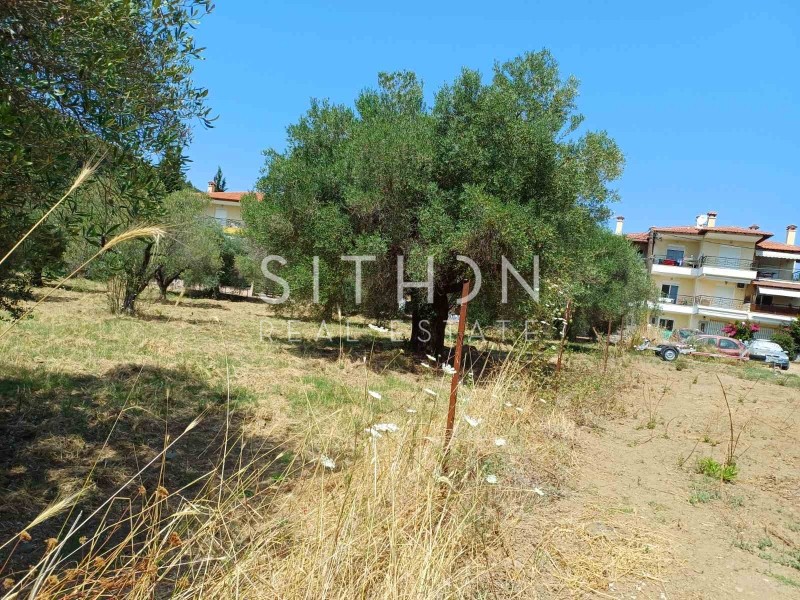 Οικόπεδο 2.350 τ.μ. πρός πώληση, Χαλκιδική, Τορώνη