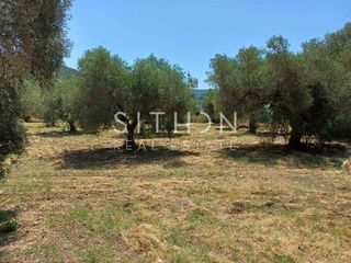 Οικόπεδο 2.350 τ.μ. πρός πώληση, Χαλκιδική, Τορώνη-thumb-14