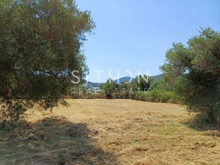 Οικόπεδο 2.350 τ.μ. πρός πώληση, Χαλκιδική, Τορώνη-thumb-11