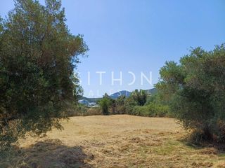 Οικόπεδο 2.350 τ.μ. πρός πώληση, Χαλκιδική, Τορώνη-thumb-5