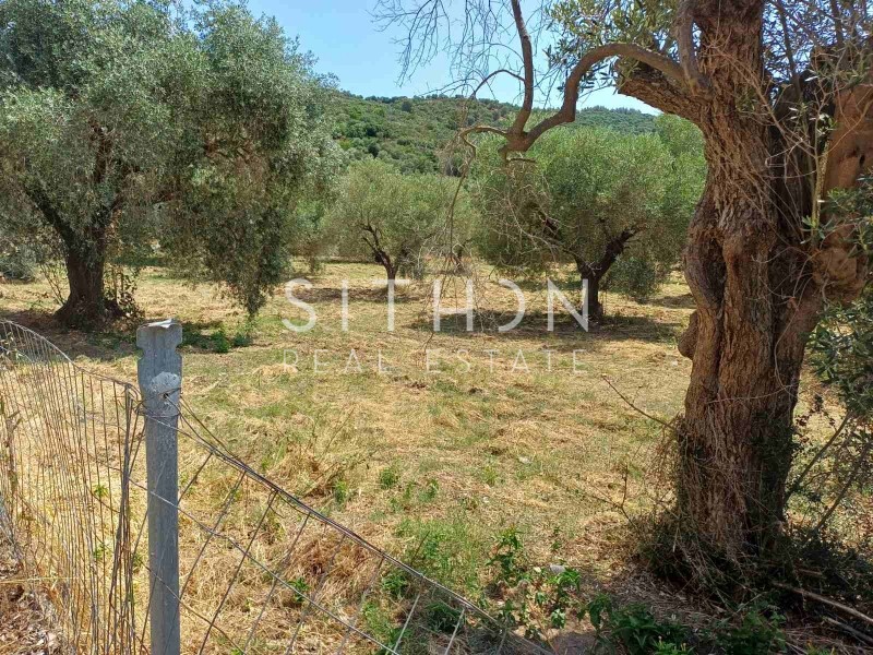 Οικόπεδο 2.350 τ.μ. πρός πώληση, Χαλκιδική, Τορώνη