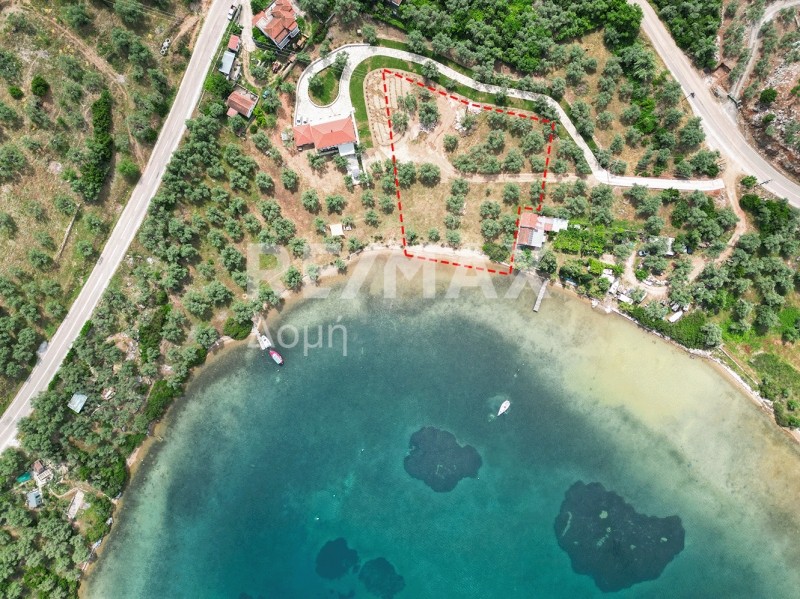 Αγροτεμάχια 5.344 τ.μ. πρός πώληση, Μαγνησία, Σηπιάδα