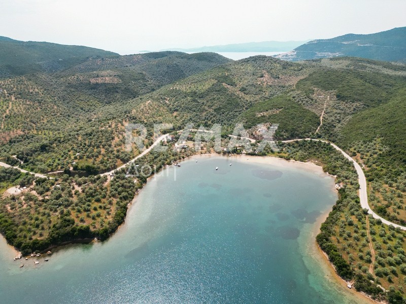 Αγροτεμάχια 5.344 τ.μ. πρός πώληση, Μαγνησία, Σηπιάδα