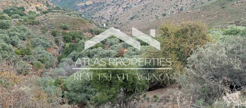 Αγροτεμάχια 2.900 τ.μ. προς πώληση, Παναγιά Κεραμίων