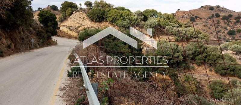Αγροτεμάχια 2.900 τ.μ. προς πώληση, Παναγιά Κεραμίων