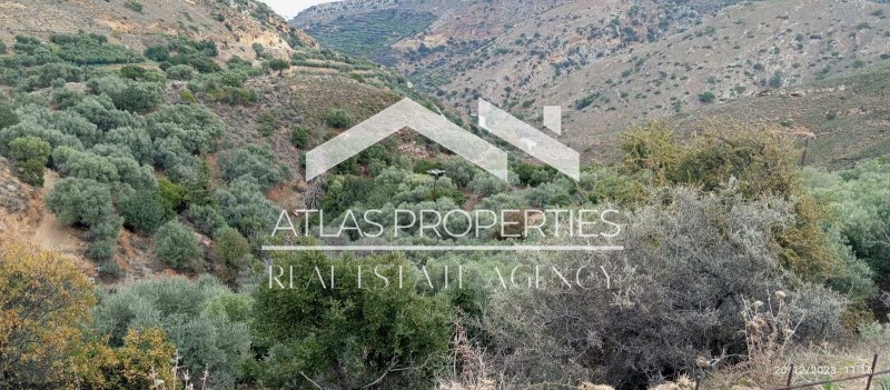 Αγροτεμάχια 2.900 τ.μ. προς πώληση, Παναγιά Κεραμίων