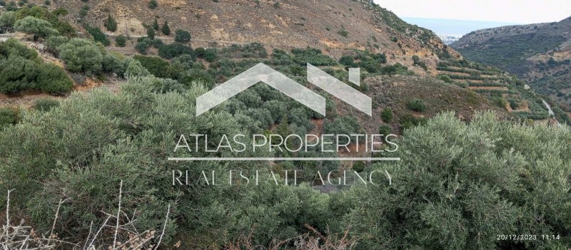 Αγροτεμάχια 2.900 τ.μ. προς πώληση, Παναγιά Κεραμίων