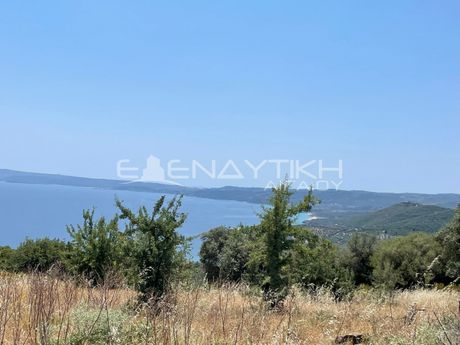 Parcel 6.000sqm for sale-Panagia » Agios Ioannis Prodromos