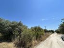 Land plot 710sqm for sale-Thasos » Limenaria