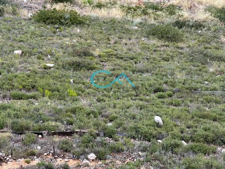 Land plot 1.000sqm for sale-Nea Makri » Neos Voutzas