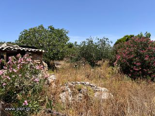 Οικόπεδο 1.237 τ.μ. για πώληση, Ν. Χανίων, Ακρωτήρι-thumb-2