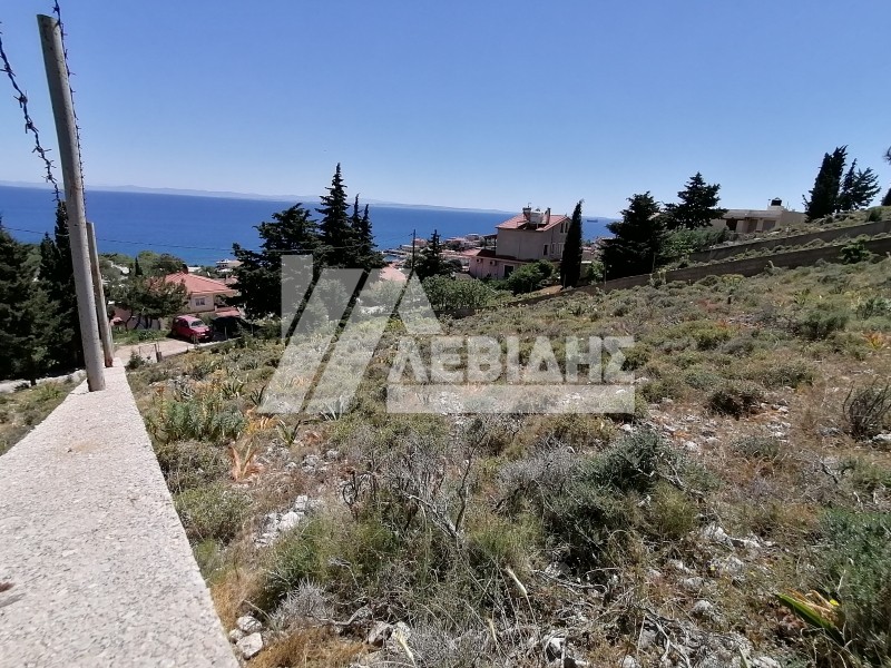 Land plot 907 sqm for sale, Omiroupoli