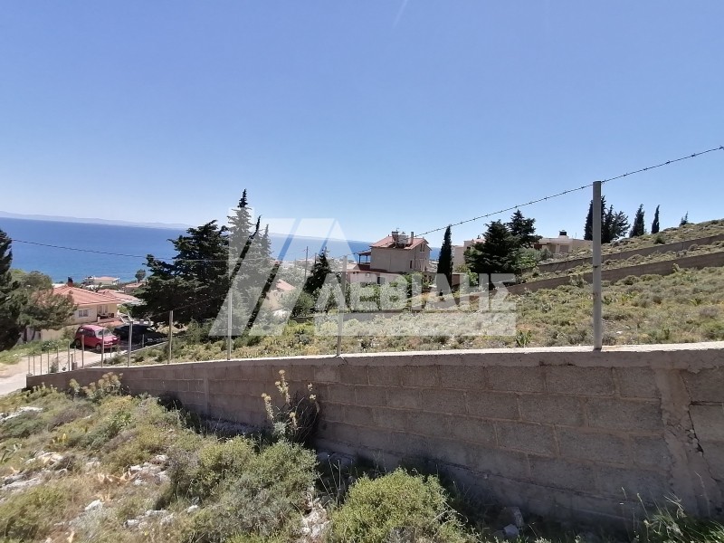 Land plot 907 sqm for sale, Omiroupoli