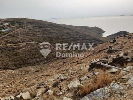 Αγροτεμάχια 4.050 τ.μ. για πώληση