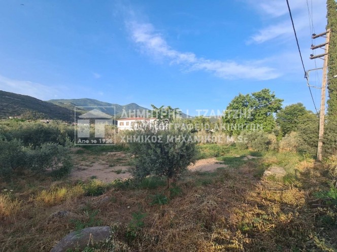 Κτίριο 550 τ.μ. πρός πώληση, Μαγνησία, Αρτέμιδα