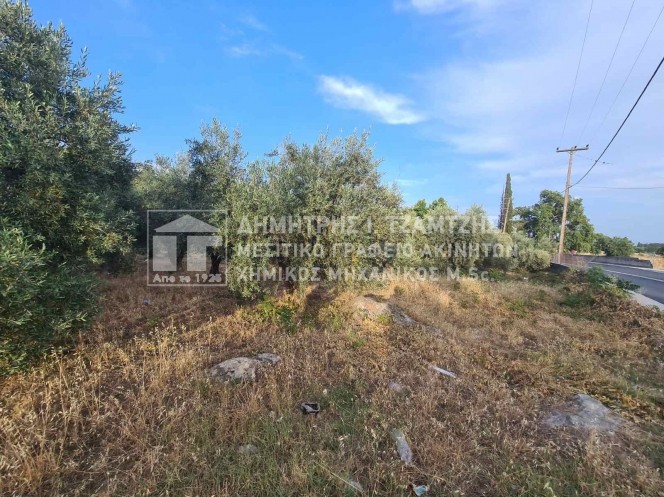 Κτίριο 550 τ.μ. πρός πώληση, Μαγνησία, Αρτέμιδα