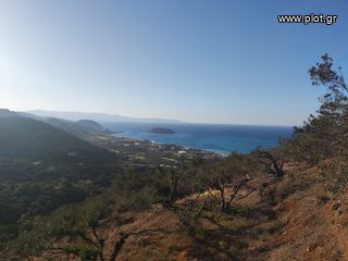 Οικόπεδο 4.635 τ.μ. για πώληση, Ν. Λασιθίου, Σητεία-thumb-4