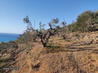 Οικόπεδο 4.635 τ.μ. για πώληση, Ν. Λασιθίου, Σητεία-thumb-6