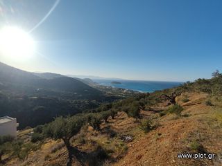 Οικόπεδο 4.635 τ.μ. για πώληση, Ν. Λασιθίου, Σητεία-thumb-8