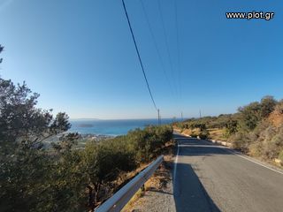 Οικόπεδο 4.635 τ.μ. για πώληση, Ν. Λασιθίου, Σητεία-thumb-11