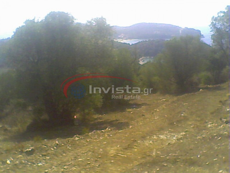 Αγροτεμάχια 20.830 τ.μ. προς πώληση, Αμμουλιανή