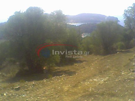 Αγροτεμάχια 20.830τ.μ. για πώληση-Σταγείρων - ακάνθου » Αμμουλιανή