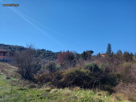Οικόπεδο 16.000 τ.μ. για πώληση