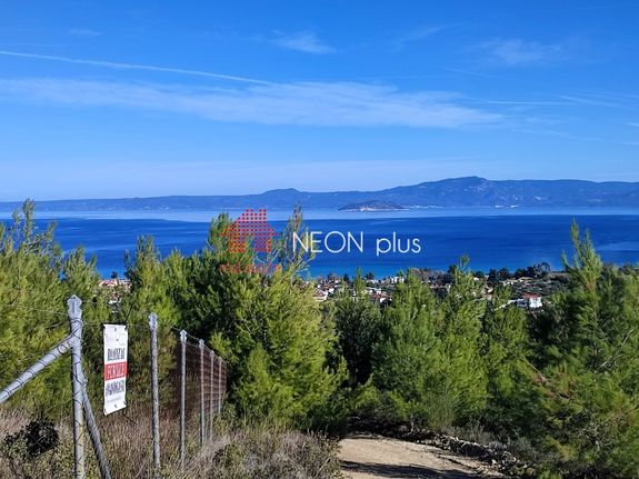 Αγροτεμάχια 9.510 τ.μ. για πώληση, Χαλκιδική, Κασσάνδρα